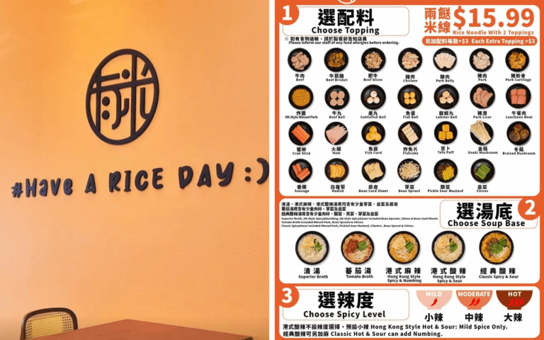 YouNMi Rice Noodles Soft Open