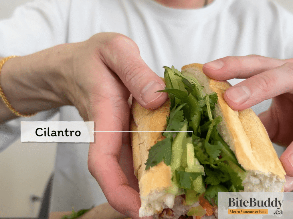 Cilantro on top of banh mi