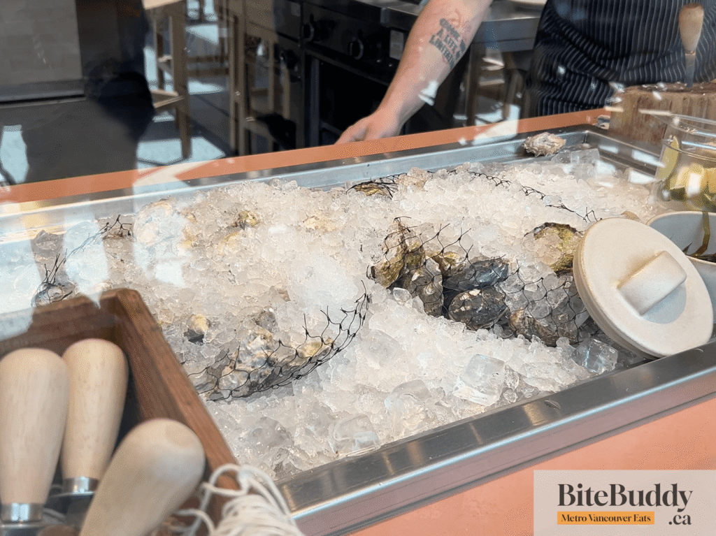 Oysters at Barnacle